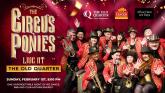 The Circus Ponies take over the Old Quarter this February Bank Holiday