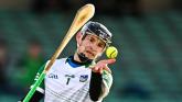 Former Limerick hurler takes up coaching role with Meath senior hurling team