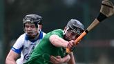 Where to watch Limerick's National Hurling League clash with Waterford