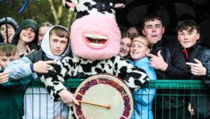 In Pictures: Limerick rivals John the Baptist CS Hospital and Castletroy College serve up exciting Dr Harty Cup clash
