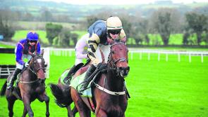 THE PUNTER'S EYE: Tips for the Galway Races over the weekend