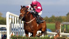 THE PUNTER'S EYE: Identity Thief can finally deliver on his potential this Sunday 