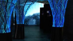 Irish museum beats Eiffel Tower and Colosseum as Europe's best tourist attraction