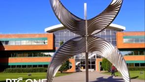 New University of Limerick president 'genuinely disturbed' by RTE revelations