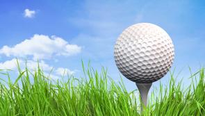 Limerick Golfers can buy much needed distance