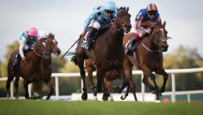 THE PUNTER'S EYE: Modern Approach can light up Limerick this weekend