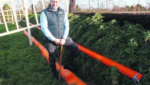 Fairytale of Limerick this Christmas: What's on to see and do