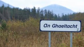 New &euro;6k grant for Gaeltacht host families 'three times greater than before' - Chambers