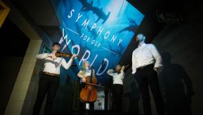 WATCH: Hammerhead sharks at swim for Limerick's first ever Gaelic Grounds gig