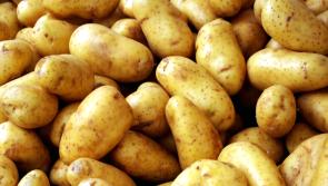 OPINION: Potato shortages, flooded fields and no fodder - will someone please think of the farmers!