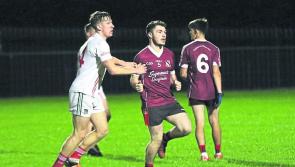Louth club GAA jerseys help champions Adare into Limerick football final