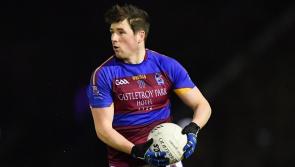 UL exit Sigerson Cup with defeat to Carlow for Limerick side