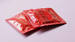 Concern at rise in STIs as lack of condom use cited as one reason 