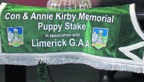 Limerick ladies football, camogie and handball clubs invited into Con and Annie Kirby Memorial