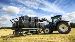 Online applications for 'crucial' &euro;56m fodder support scheme now open - McConalogue