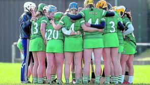 Limerick open All Ireland Camogie Championship with win over Offaly