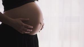'Progress' - Cabinet approves heads of Bill granting maternity leave to councillors