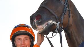 WATCH: Limerick jockey Billy Lee celebrates big race win in France