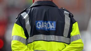 Woman shot in firearm and criminal damage incidents in Dublin 