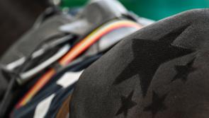 BETTING: Politologue can land Tingle Creek showpiece at Sandown