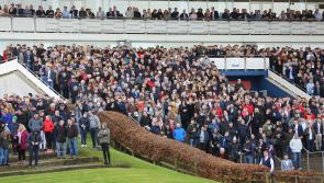 Under starter's order for day two of Limerick Christmas Racing Festival