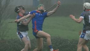 Mary Immaculate secure home quarter final in Limerick with Fitzgibbon Cup win over WIT