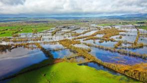 WATCH: &lsquo;We&rsquo;re totally cut off now&rsquo; - County Limerick boat club member on flooding