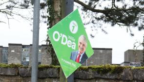 Frustration as Willie O'Dea election posters make reappearance in Limerick