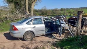 Gardai arrest drug driver in a river after he crashed into farm gate