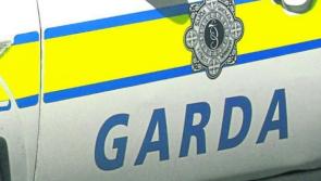 Man arrested in connection with suspected anti-immigration arson attacks at Kildare site