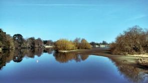 Concern over water levels as Ireland experiences 'absolute drought' conditions