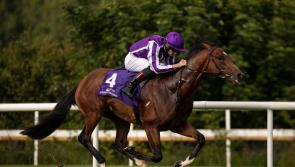 Limerick jockey lands plum ride in Saturday's Epsom Derby