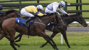 Limerick racing enthusiasts in red hot form on the track