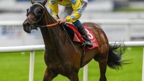 WATCH: Limerick jockey Billy Lee off to a flyer at the Galway Races