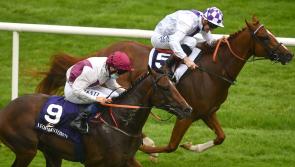 Limerick jockey Chris Hayes makes history with shock winner at Leopardstown 