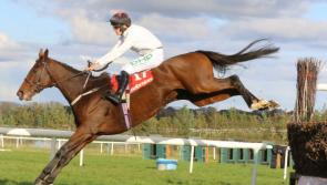 Top class entry for JT McNamara Ladbrokes Munster National at Limerick
