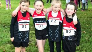 Limerick Cross-Country Championships take centre stage