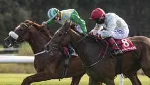 Winners alright for Limerick racing enthusiasts