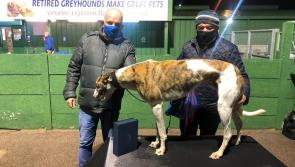 Limerick's Pat Buckley with Deerjet Sydney in final of &pound;50,000 English Greyhound Derby