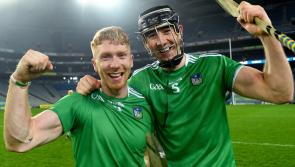 Diarmaid Byrnes: Limerick's final opponents Waterford are 'serious team and well organised'
