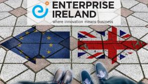 Enterprise Ireland announces &lsquo;Brexit Customs Briefing&rsquo; webinar for the Mid-West region