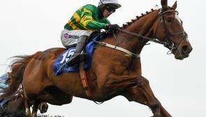 Green light for Monday's card at Limerick Christmas Racing Festival