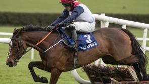 Limerick jockeys celebrate memorable week on the track