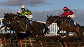 It's winners alright for Limerick racing connections