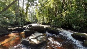 Ten walks in County Limerick you can do in 2022