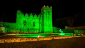 SLIDESHOW: Thousands enjoy Limerick St. Patrick&rsquo;s Festival - virtually
