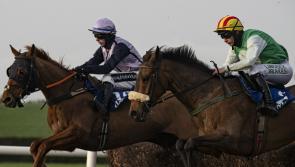 Limerick racing connections enjoy bumper Easter period