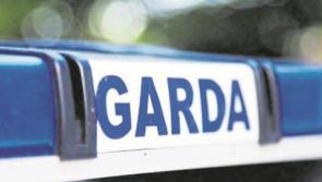 Organised crime suspects released by Clare gardai