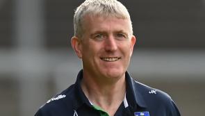Limerick team to face Waterford in Allianz Hurling League named