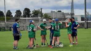 Limerick junior camogie side book Division 3 League semi-final spot